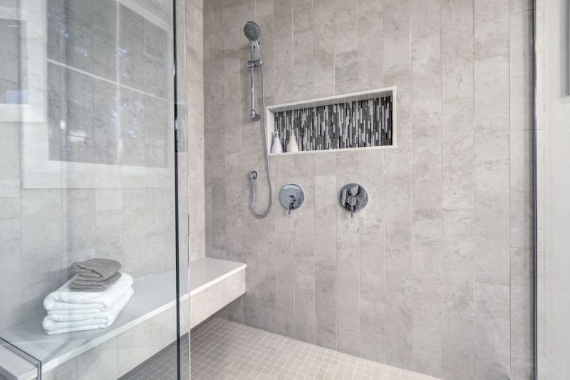 Contemporary Shower with Accent Tiles